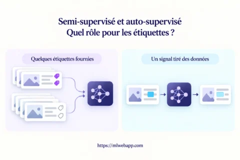 Apprentissage semi-supervisé et auto-supervisé : des étiquettes fournies pour certains exemples ou un signal construit à partir des données.