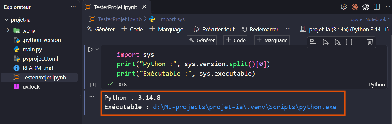 التحقق من تثبيت Python في أول خلية من TesterProjet.ipynb: الإصدار 3.14.8 ومسار الملف التنفيذي داخل .venv الخاصة بالمشروع.