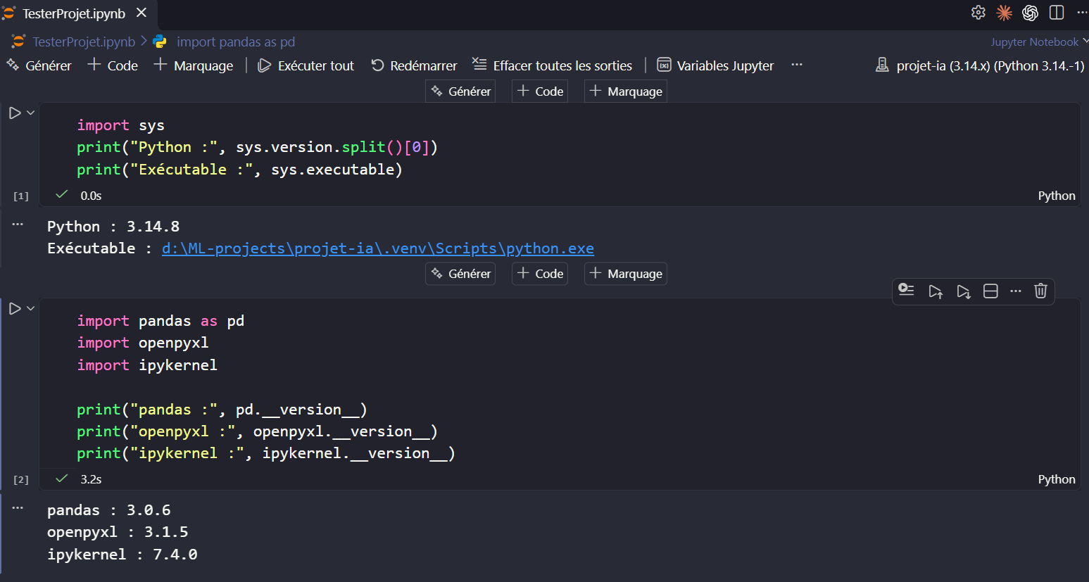 تنفيذ خليتَي TesterProjet.ipynb: Python 3.14.8، pandas 3.0.6، openpyxl 3.1.5 وipykernel 7.4.0.